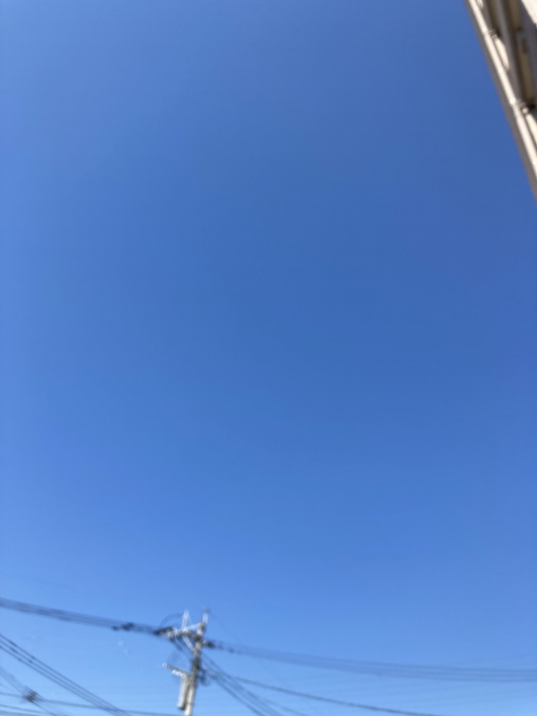 MIRAI(ミライ) 暑いですねー!
