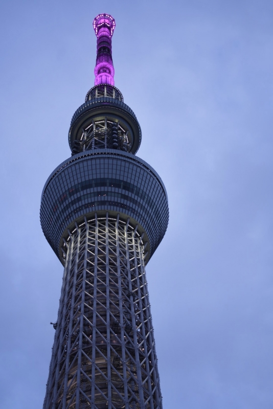 YAMATO(ﾔﾏﾄ) こんばんは🌙