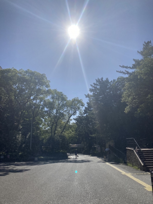 REI（レイ） 趣味の一つ