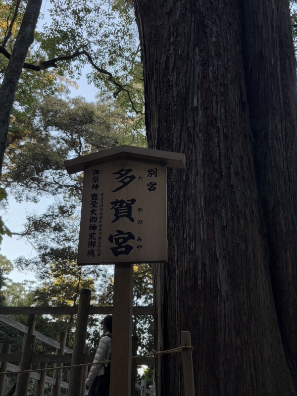 MASH(ﾏｯｼｭ) 多賀宮