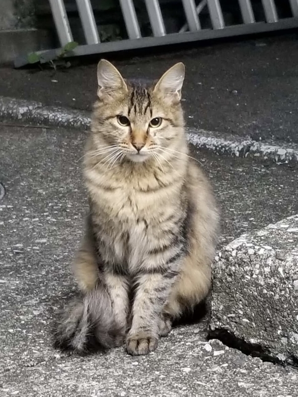 KAZUYA(ｶｽﾞﾔ) 寒いね