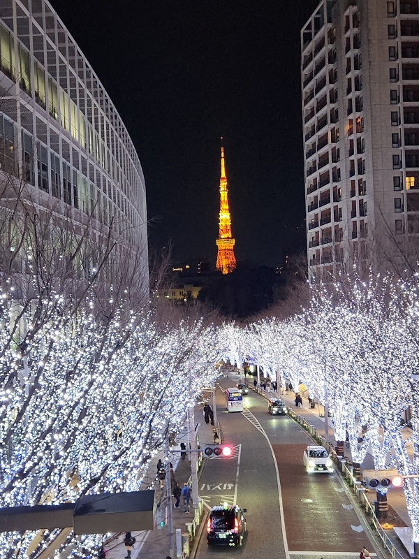 TOM(ﾄﾑ) イルミネーション