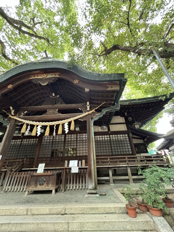 AIAN(ｱｲｱﾝ)　 朔日参り⛩️