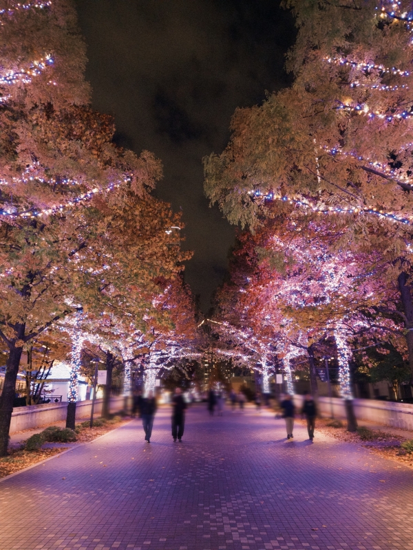 YUZU(ﾕｽﾞ) きらきら✨