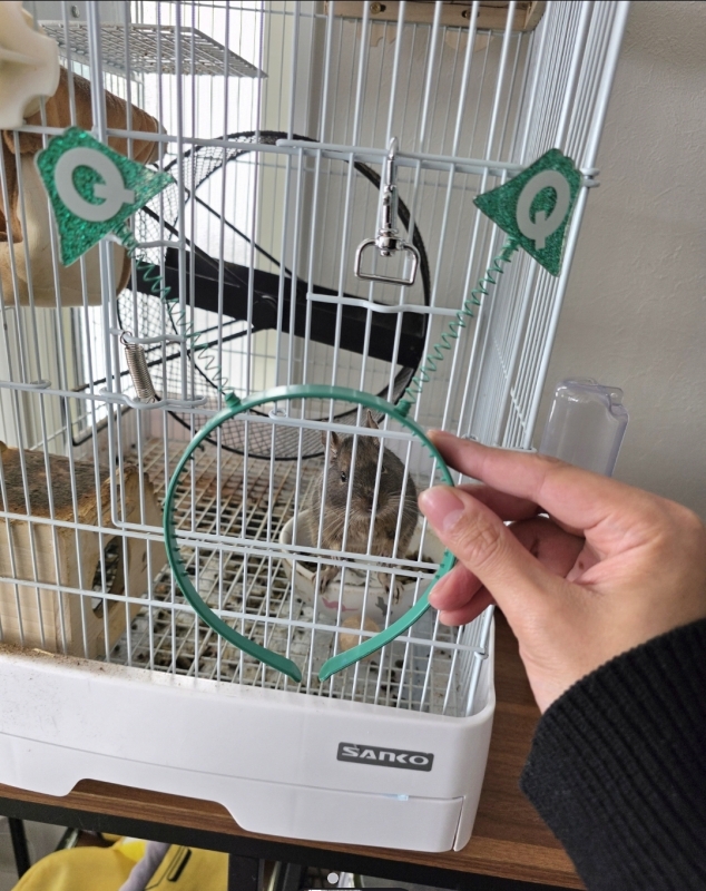 SEIICHIRO(セイイチロウ) 間もなく12月の3分の1終わります!