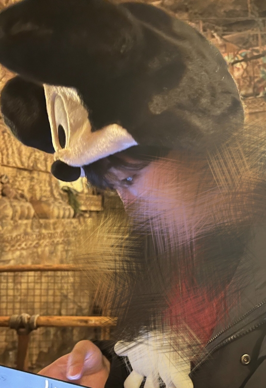 HOKUTO(ﾎｸﾄ) ディズニー