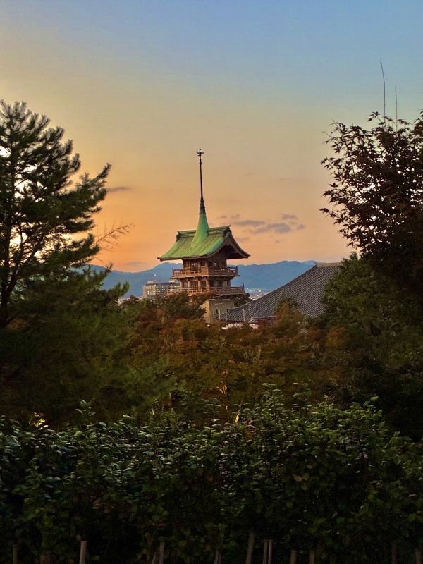 HANZO（ﾊﾝｿﾞｰ） 外暗し