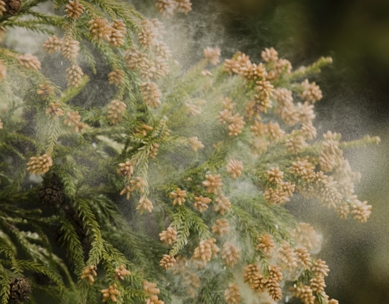 TEN(ﾃﾝ) おつかれさまですー