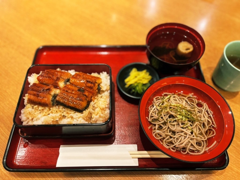 TSUBASA(ツバサ) 今後の出勤について