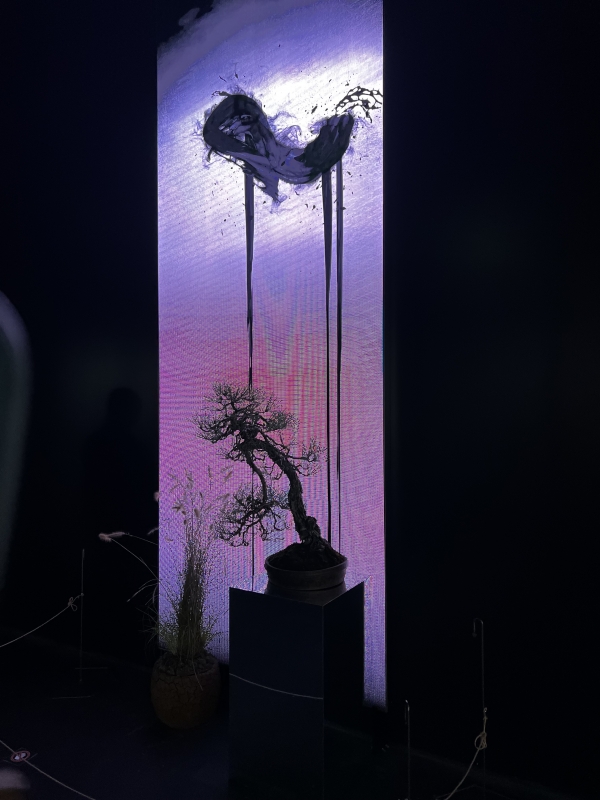 SOUSHI(ソウシ) 猛威