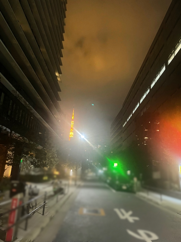HISUI(ﾋｽｲ) 東京タワー