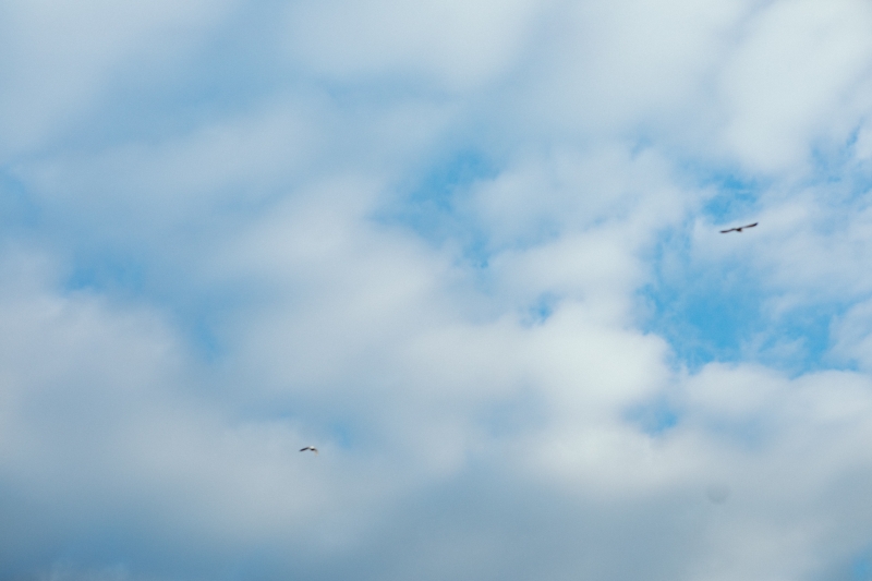 YUUSUKE(ﾕｳｽｹ) 大切にしてること