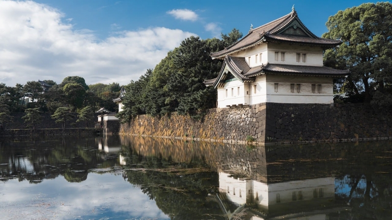 KOYOI(ｺﾖｲ) 日本に生まれて