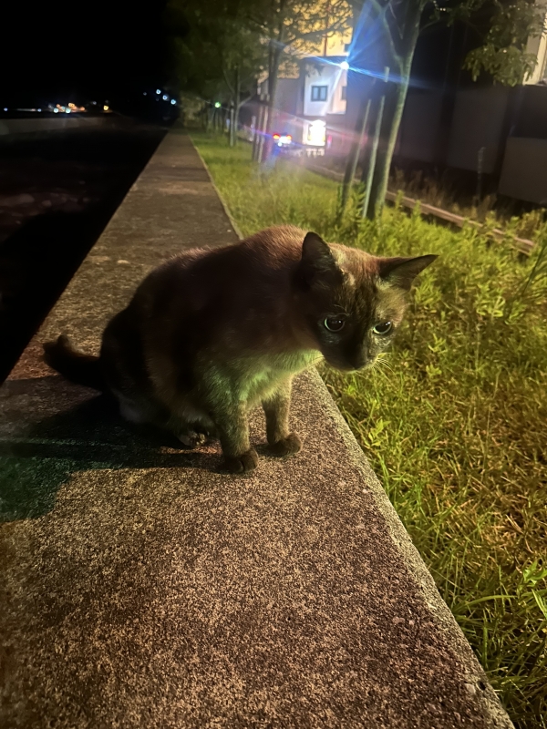 NAGI(ナギ) どっち派ですか?