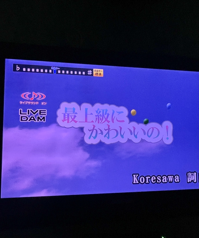 RINKO(リンコ) カラオケに行くと