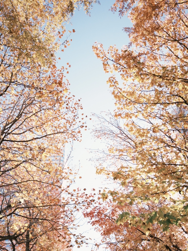 YUZU(ユズ) あつい!!