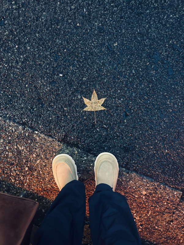 KONOSUKE(ｺｳﾉｽｹ) 🍁