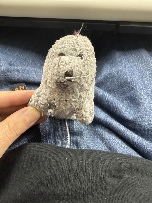 ARASHI(ｱﾗｼ) 【ラッピー】