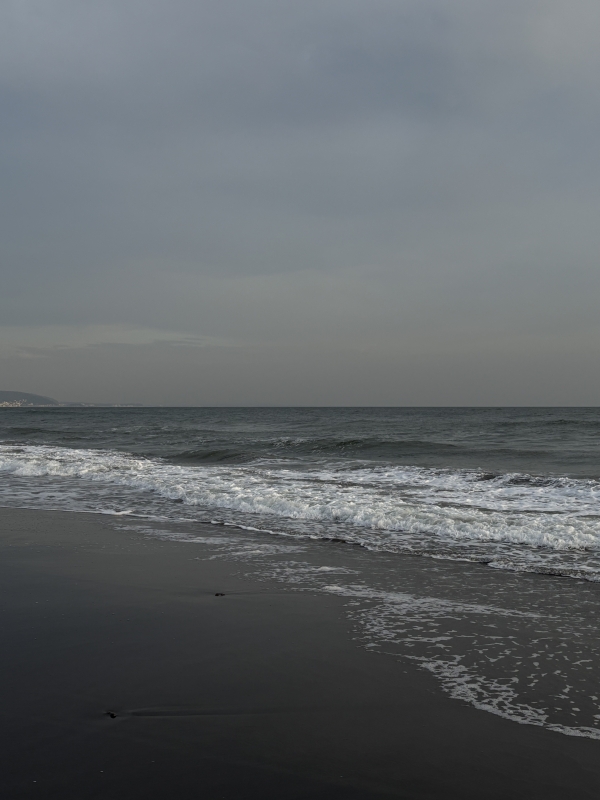 MASH(マッシュ) 海。