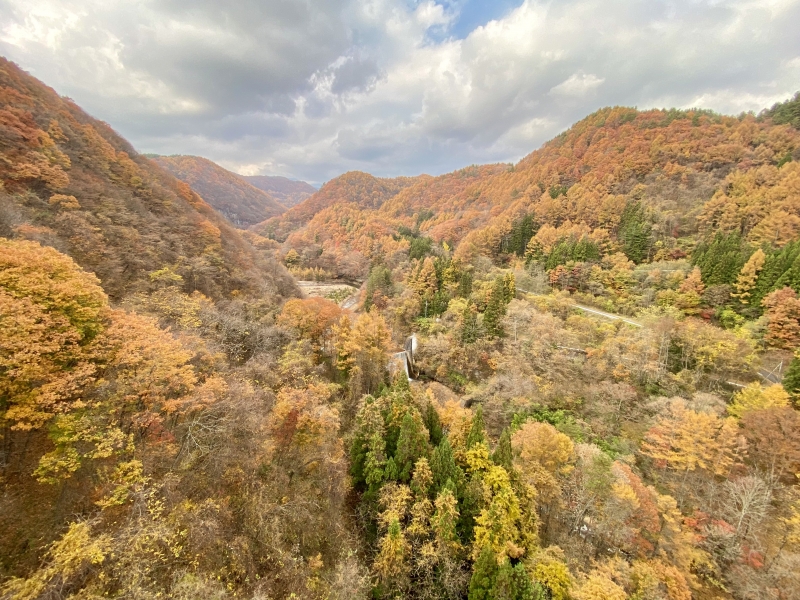 MITSUYA(ﾐﾂﾔ) 紅葉