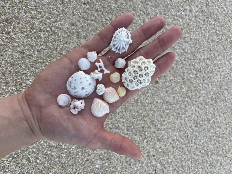 JOJO(ｼﾞｮｼﾞｮ) ありのまま