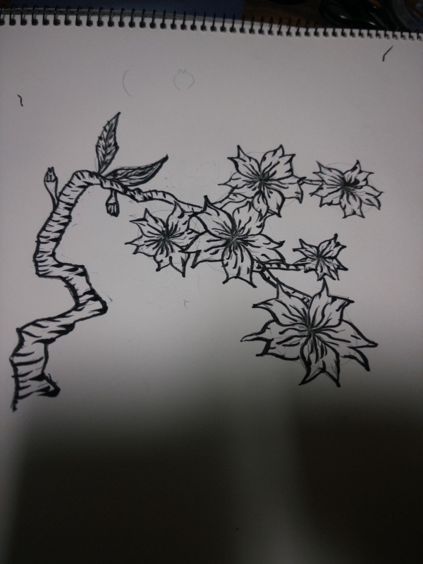 YAK(ﾔｸ) 桜