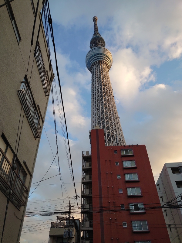 KOYOI(ｺﾖｲ) こうも寒いと