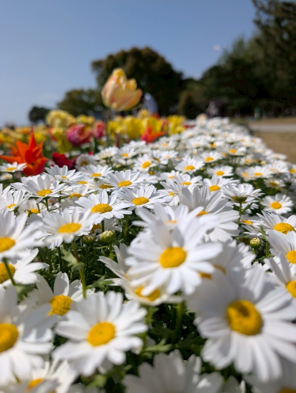 SYUNSUI(ｼｭﾝｽｲ) 暖かくなってきましたね
