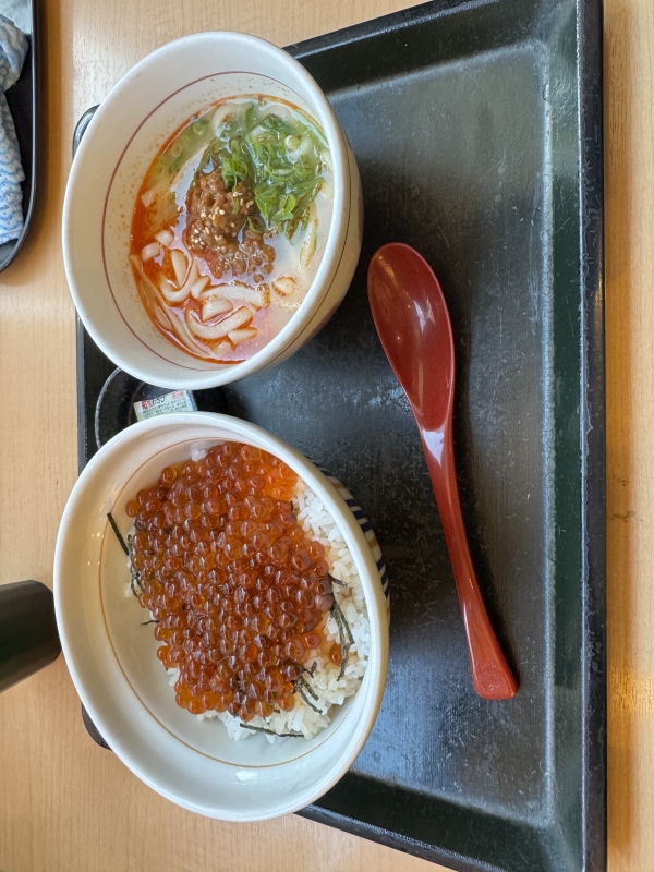 TOA(ﾄｱ) いくら