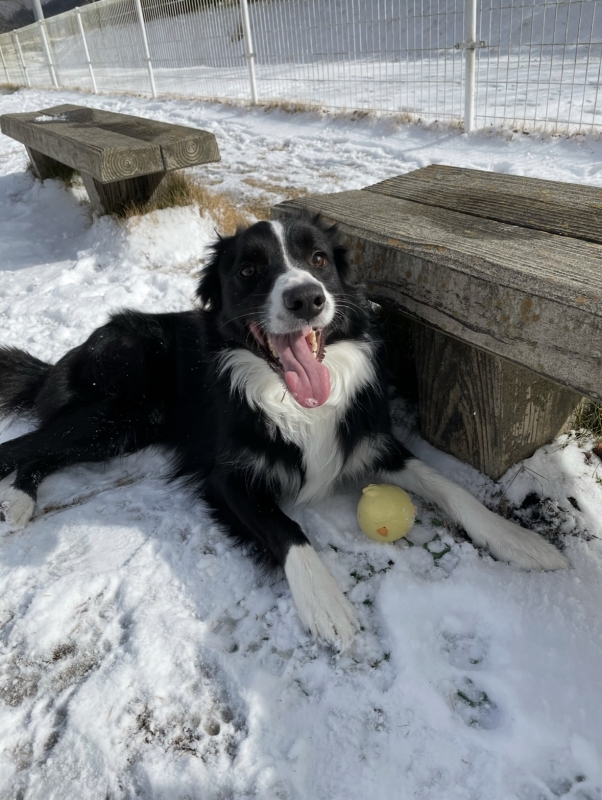 ATSUMU（ｱﾂﾑ） 雪☃️