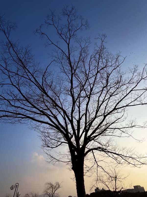 ARAN(アラン) 信頼を育む