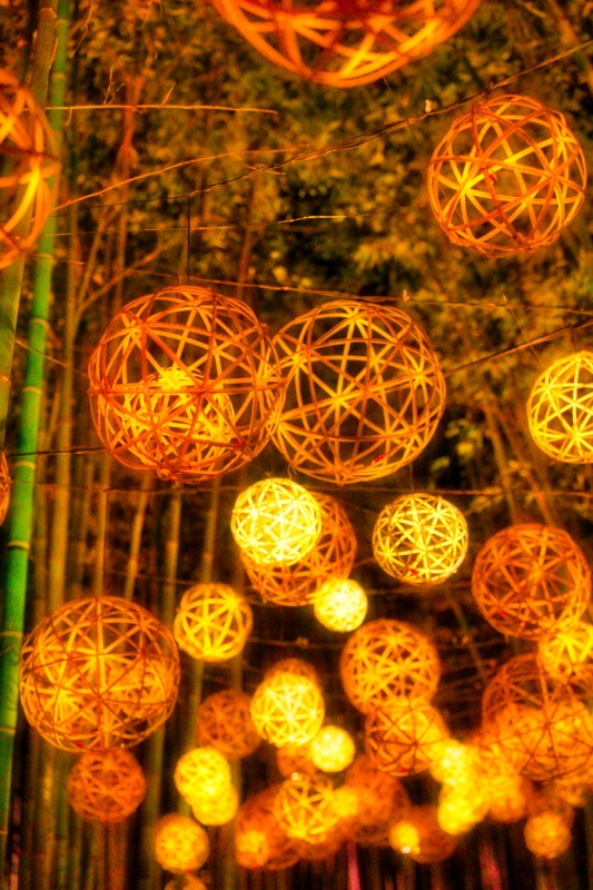 HANZO(ハンゾー) 月灯路