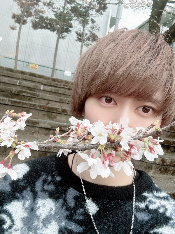 AO(ｱｵ) お花見〜☝️