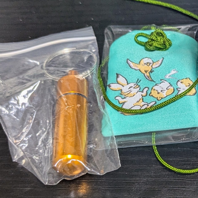 HASUMI(ﾊｽﾐ) 旅立ち