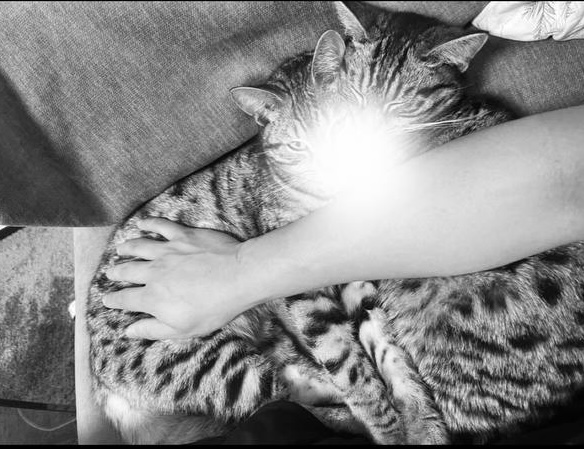 GEN(ゲン) 猫都合だけど深夜もOK