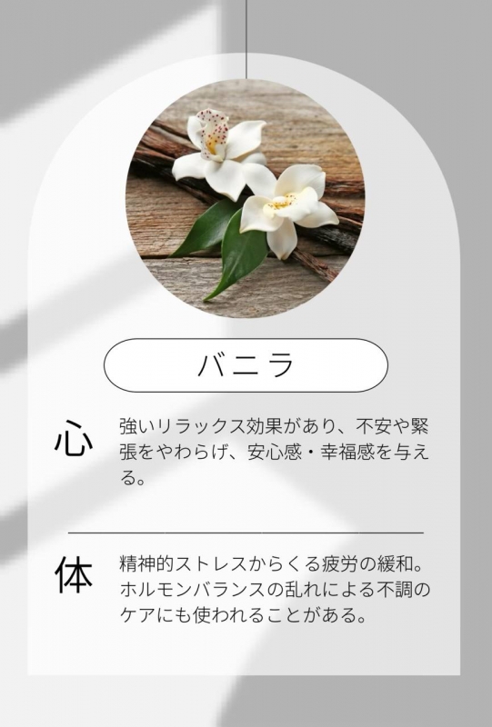 MIKURI(ミクリ) バニラくんについて