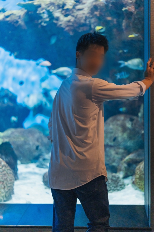 YOKKUN(ヨックン) 誘導