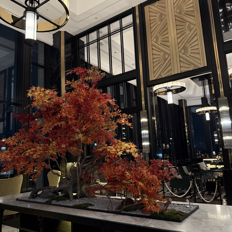 MATSURI(マツリ) お久しぶりです