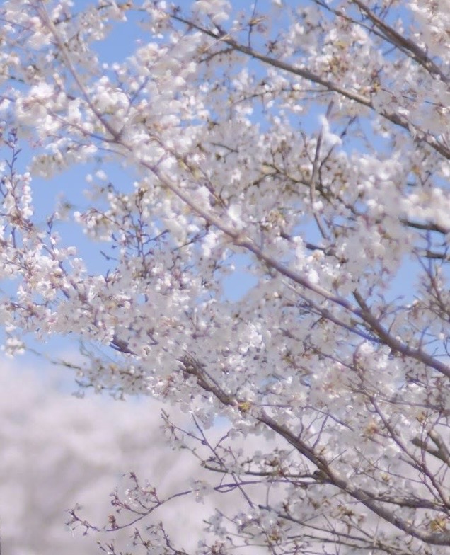 HIRO(ﾋﾛ) 今月も半額やります。