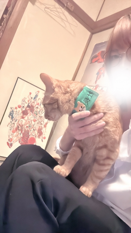 REONA(ﾚｵﾅ) 猫ちゃん