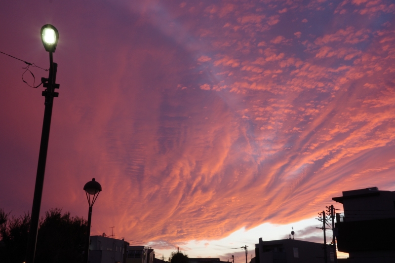 AYA(アヤ) 11月最終日!