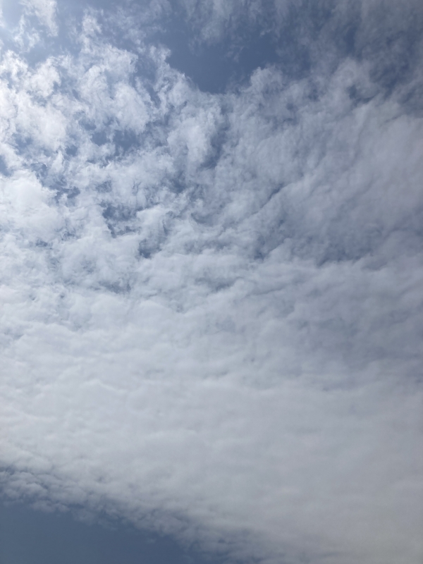 KAZUYA(ｶｽﾞﾔ) 出勤中！