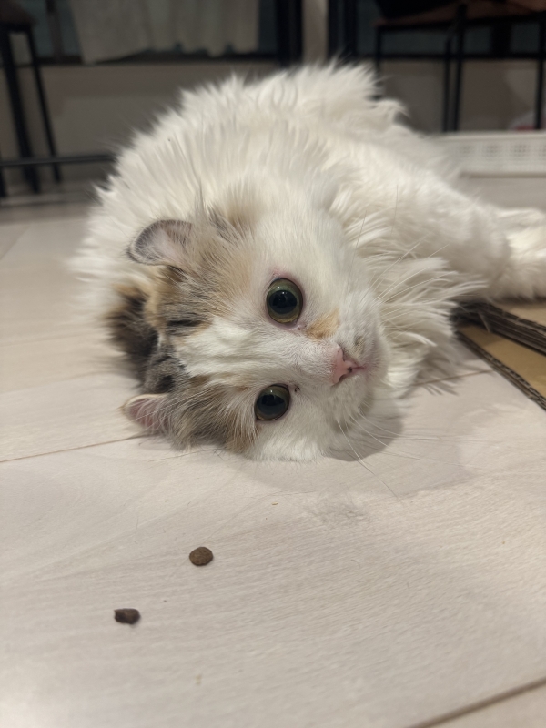 YUMA(ユウマ) 本日も宜しくお願いします!