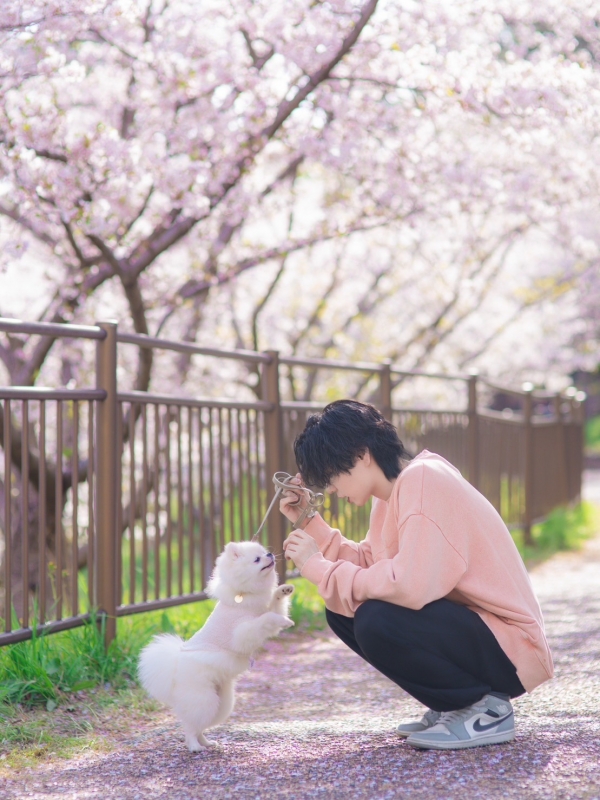 REN(ﾚﾝ) お花見撮影🌸