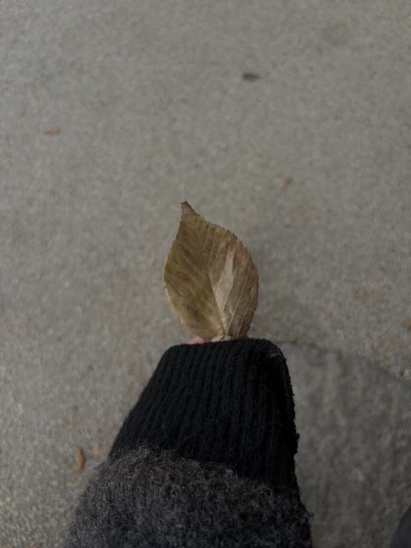 MASH(ﾏｯｼｭ) Ⅰ