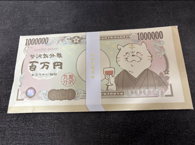 SANEMI(ｻﾈﾐ) 諭吉？ﾆｬﾝ吉？