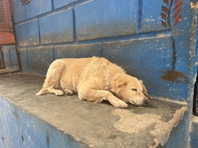 MOCHI（ﾓﾁ） そのままのあなたで。