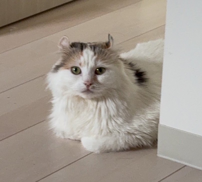 YUMA(ﾕｳﾏ) 本日も宜しくお願いします！