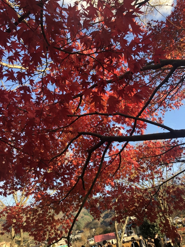 MINATO(ﾐﾅﾄ) 初指名・本指名感謝👍