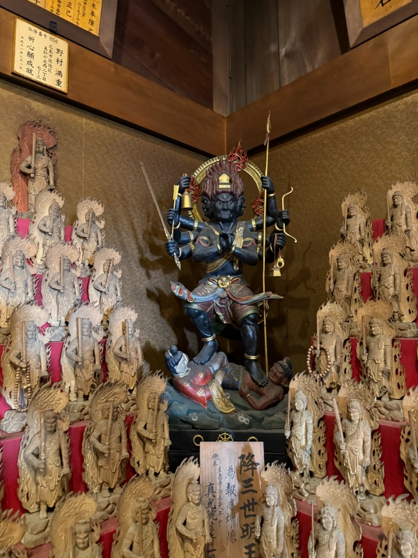 ARASHI(ｱﾗｼ) 【性感万手観音？】